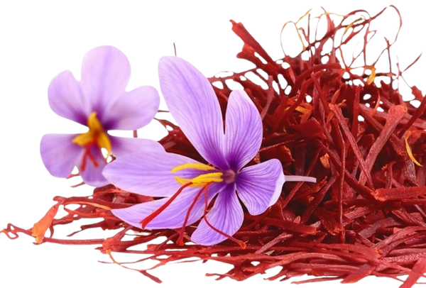 Bottom Right Element